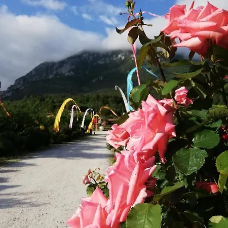 Szálloda Restaurant Rose Des Pyrenees 3*