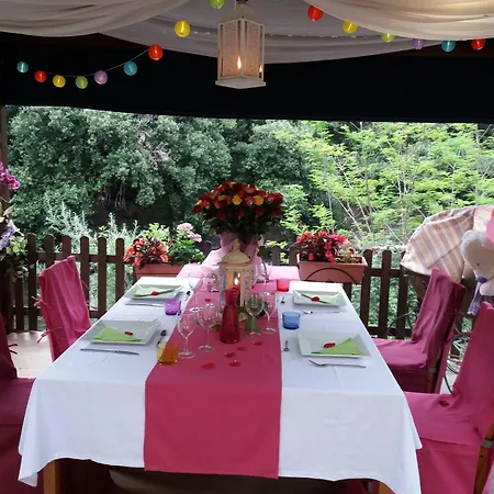 Restaurant Rose Des Pyrenees Hotel 3*