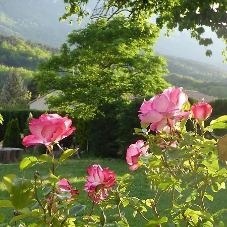 Rose Des Pyrénées Belvianes-et-Cavirac