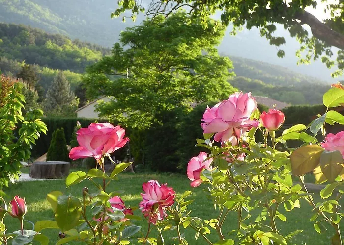Restaurant Rose Des Pyrenees ベルヴィアンヌ・エ・カヴィラック